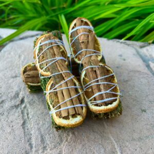 A pair of sandals tied with rope on top of a rock.