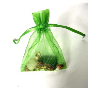 A green bag filled with rocks and shells.